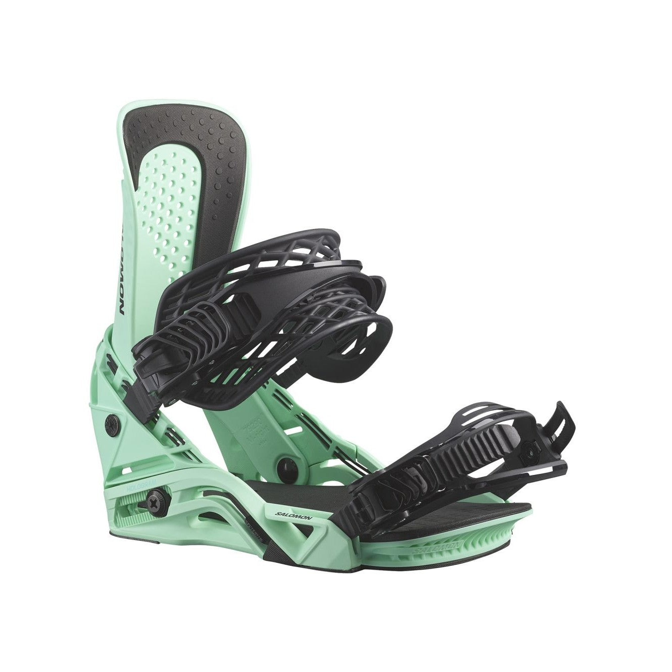 Salomon Hologram